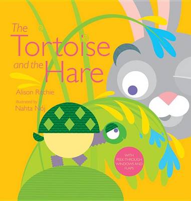 Tortoise and the Hare book