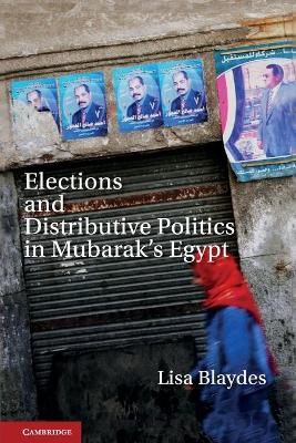 Elections and Distributive Politics in Mubarak's Egypt book