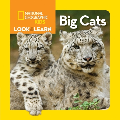 Look and Learn: Big Cats (Look&Learn) book