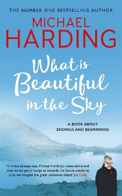 What is Beautiful in the Sky: A book about endings and beginnings book