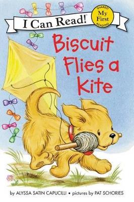 Biscuit Flies A Kite book