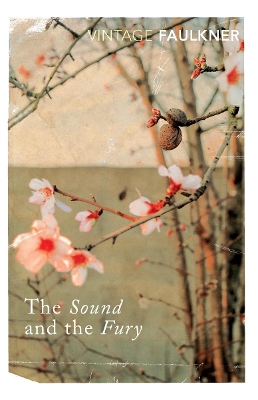 Sound And The Fury book
