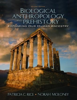 Biological Anthropology and Prehistory book