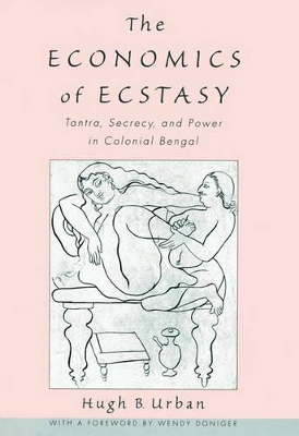 Economics of Ecstasy book