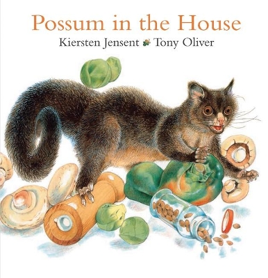 Possum in the House book
