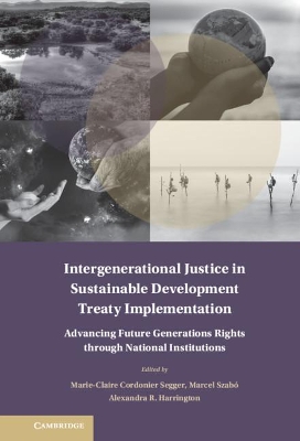 Intergenerational Justice in Sustainable Development Treaty Implementation: Advancing Future Generations Rights through National Institutions book