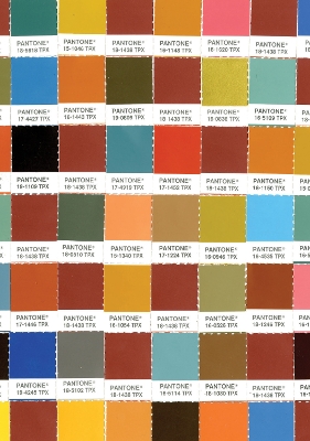 Pantone Chips Journal: Earth Tones book
