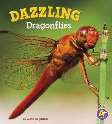 Dazzling Dragonflies (Bugs are Beautiful!) book