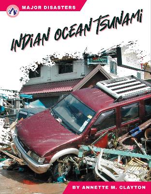 Indian Ocean Tsunami by Annette M. Clayton