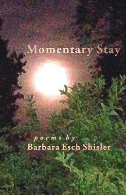 Momentary Stay book