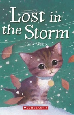 Lost in the Storm book