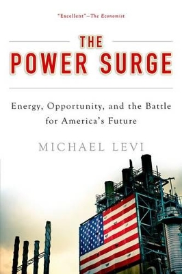 Power Surge book