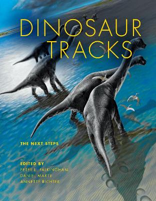 Dinosaur Tracks book