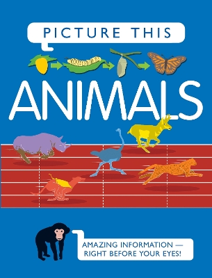 Picture This! Animals book