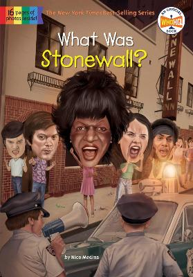 What Was Stonewall? book