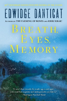 Breath, Eyes, Memory book