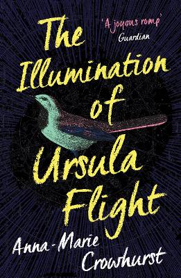 The Illumination of Ursula Flight book