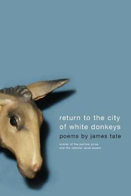 Return To The City Of White Donkeys book