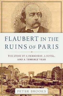 Flaubert in the Ruins of Paris book