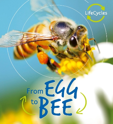 Lifecycles: Egg to Bee by Camilla De la Bedoyere
