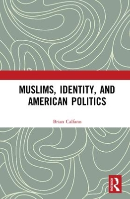 Muslims, Identity, and American Politics book