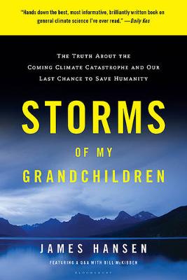 Storms of My Grandchildren book