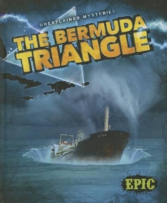The Bermuda Triangle book