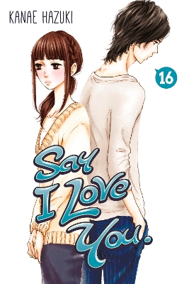 Say I Love You 16 book
