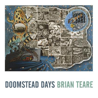 Doomstead Days book