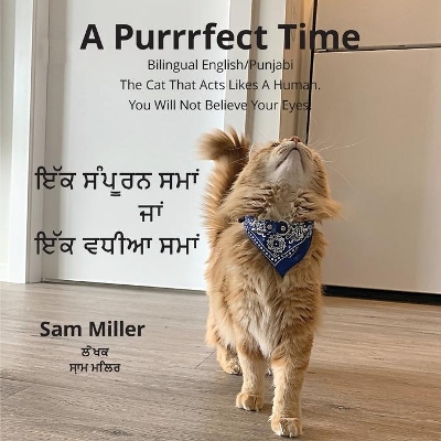 ਇੱਕ ਸੰਪੂਰਨ ਸਮਾਂ ਜਾਂ ਇੱਕ ਵਧੀਆ ਸਮਾਂ - A Purrrfect Time book