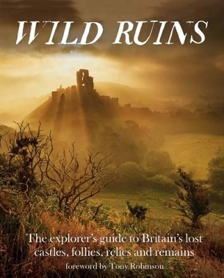 Wild Ruins book