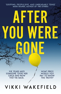 After You Were Gone: An unputdownable new psychological thriller with a shocking twist by Vikki Wakefield