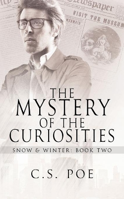 The Mystery of the Curiosities book