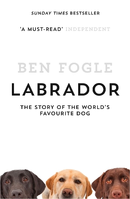 Labrador book