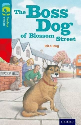 Oxford Reading Tree TreeTops Fiction: Level 9 More Pack A: The Boss Dog of Blossom Street book