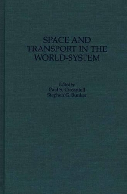 Space and Transport in the World-System book