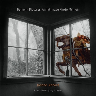 Being in Pictures book