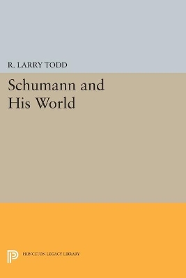 Schumann and His World book