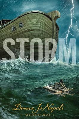 Storm book