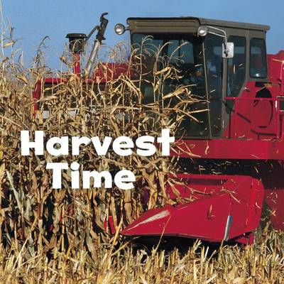 Harvest Time by Erika L. Shores