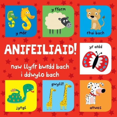 Anifeiliaid - Set book