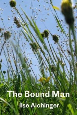 The Bound Man, and Other Stories book