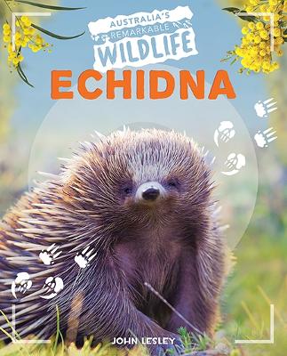 Australia's Remarkable Wildlife: Echidna book