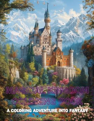 Magical Kingdom Coloring Book: A Coloring Adventure into Fantasy book