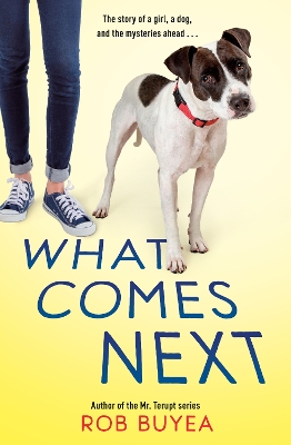 What Comes Next book