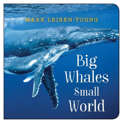 Big Whales, Small World book