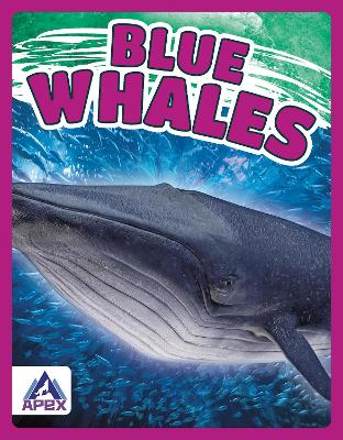 Blue Whales by Katie Chanez