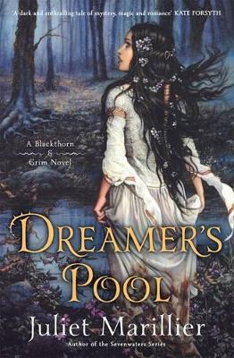 Dreamer's Pool book