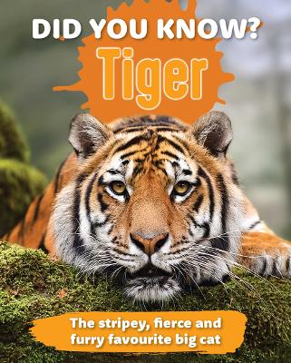 Did You Know? Tiger: The stripey, fierce and furry favourite big cat book