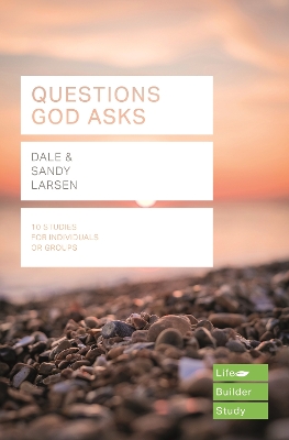 Questions God Asks by Dale Larsen